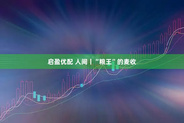 启盈优配 人间丨“粮王”的麦收