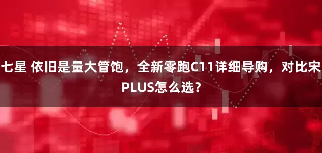 七星 依旧是量大管饱，全新零跑C11详细导购，对比宋PLUS怎么选？