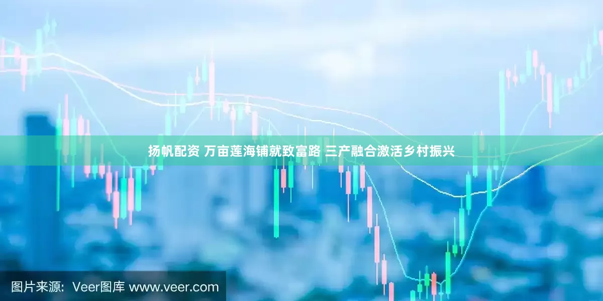 扬帆配资 万亩莲海铺就致富路 三产融合激活乡村振兴