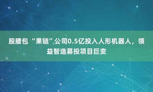 股腰包 “果链”公司0.5亿投入人形机器人，领益智造募投项目巨变