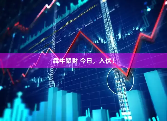 犇牛聚财 今日，入伏！