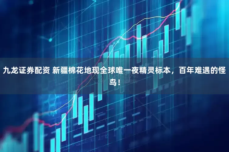 九龙证券配资 新疆棉花地现全球唯一夜精灵标本，百年难遇的怪鸟！