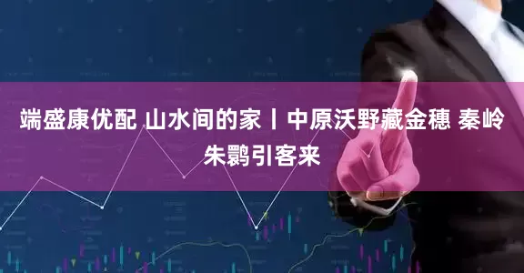 端盛康优配 山水间的家丨中原沃野藏金穗 秦岭朱鹮引客来